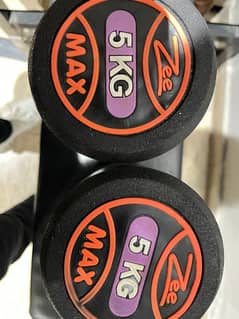 5kg dumbbell pair for sale