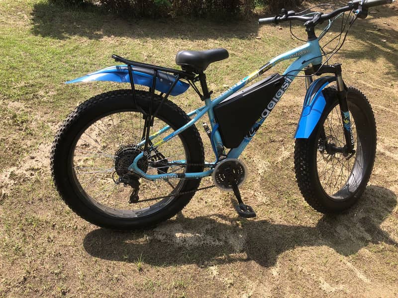 Electric FAT Tyer bicycle 4