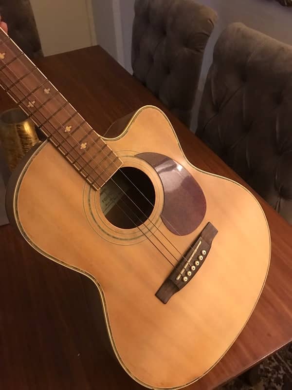 Yamaha Guitar FD02C 4