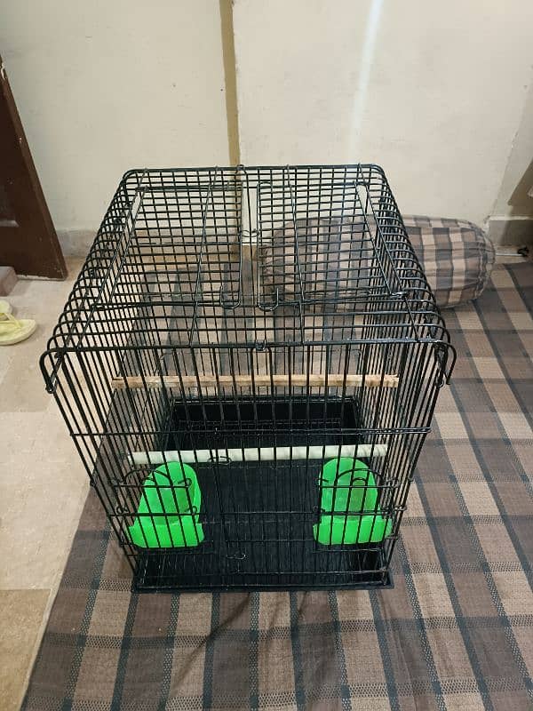 cage pinjra 1