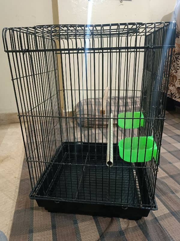cage pinjra 3