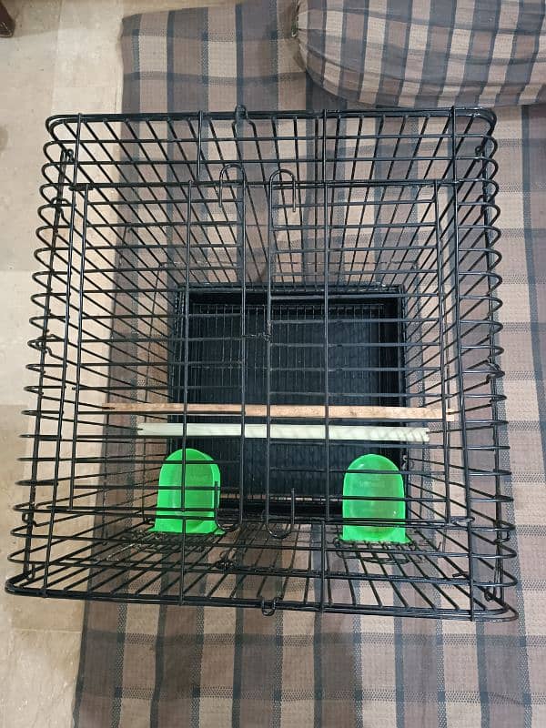 cage pinjra 4