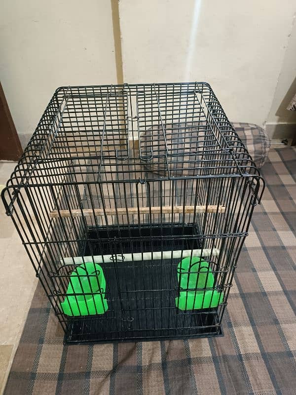 cage pinjra 5
