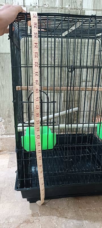 cage pinjra 6