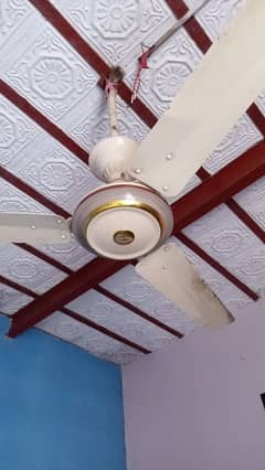 1 piece fan