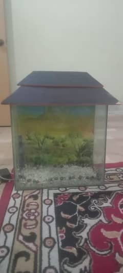 Aquarium For Sale Good