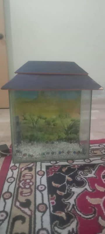 Aquarium For Sale Good 0