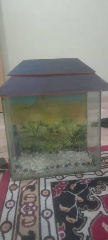 Aquarium For Sale Good 1