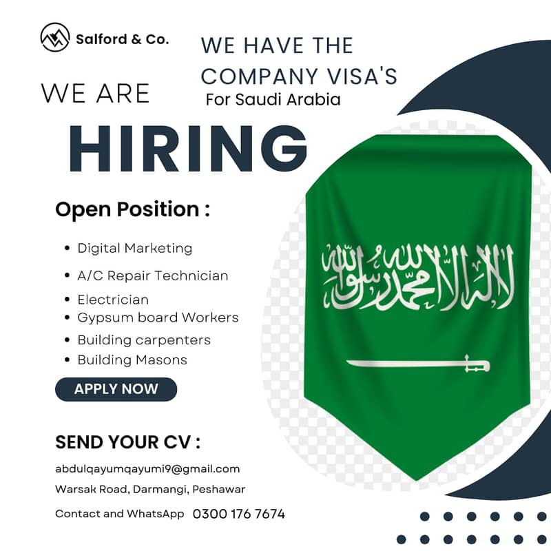 We are hiring and have visa's for Saudi Arabia 0