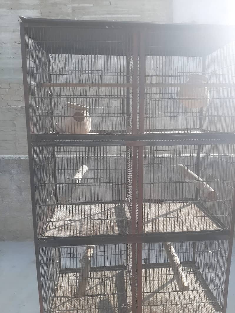 8 portion cage ok taray no rust brown paint 2