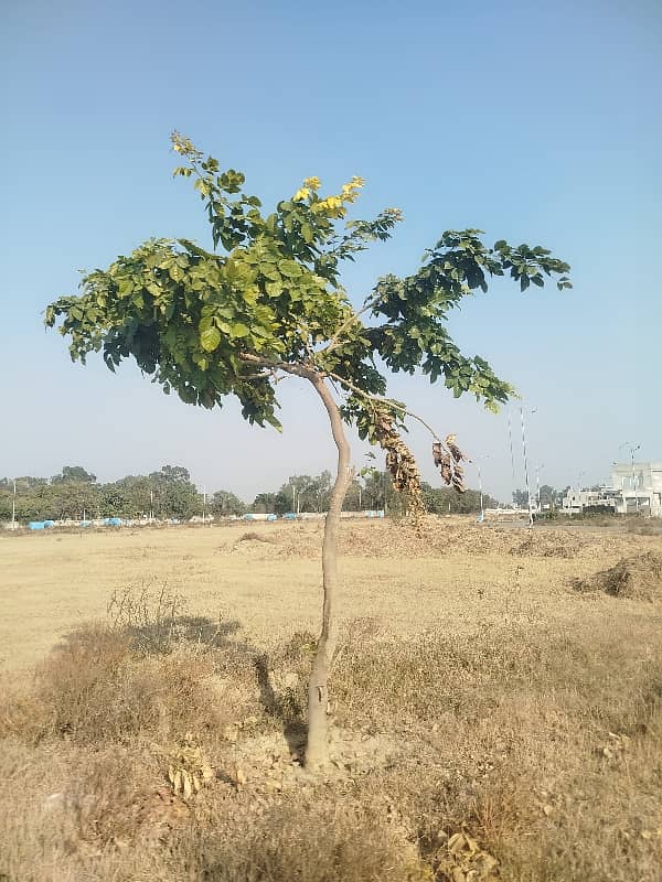 2 Kanal Plot near Golf Course and near to Main Road 13