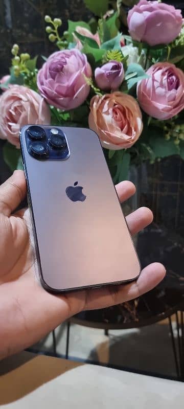 iphone 14 pro max pta prove 1