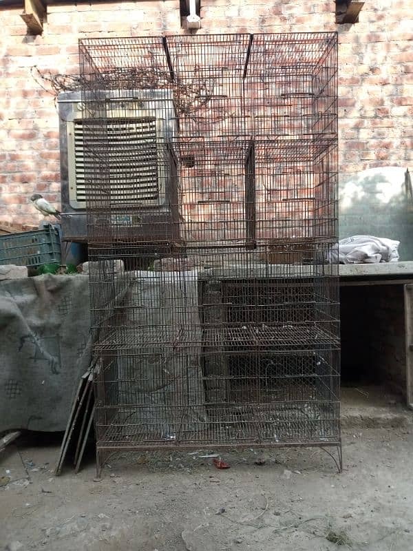 cage for sale or exchange whit goat 2