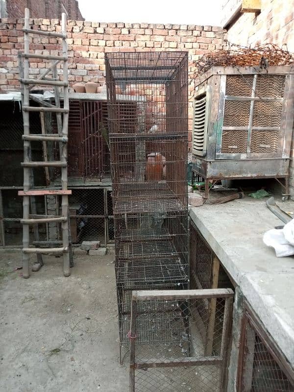 cage for sale or exchange whit goat 3