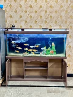 5 Feet Fish Aquarium