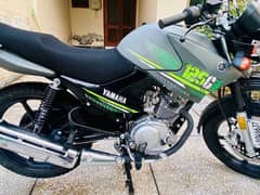 yamaha