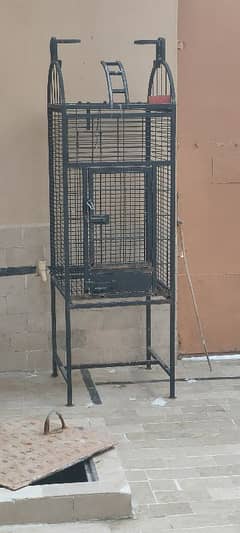 cage for birds