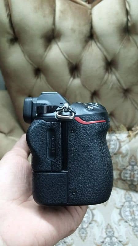 Nikon Z6 7
