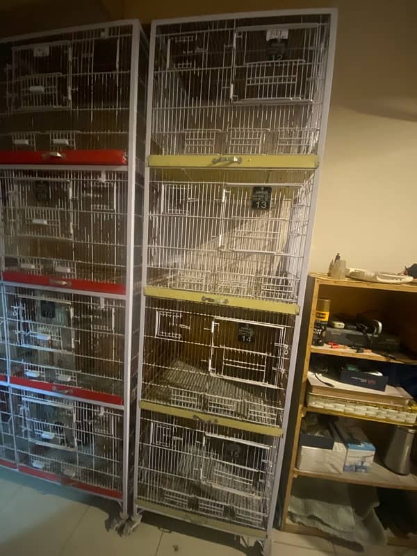 Bird Cages, breeding boxes , Brooder Box 0