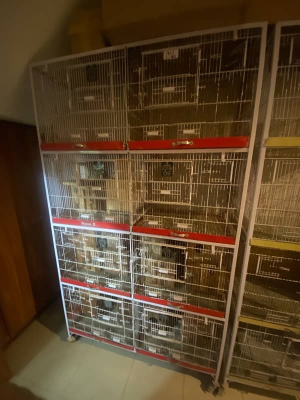 Bird Cages, breeding boxes , Brooder Box 1