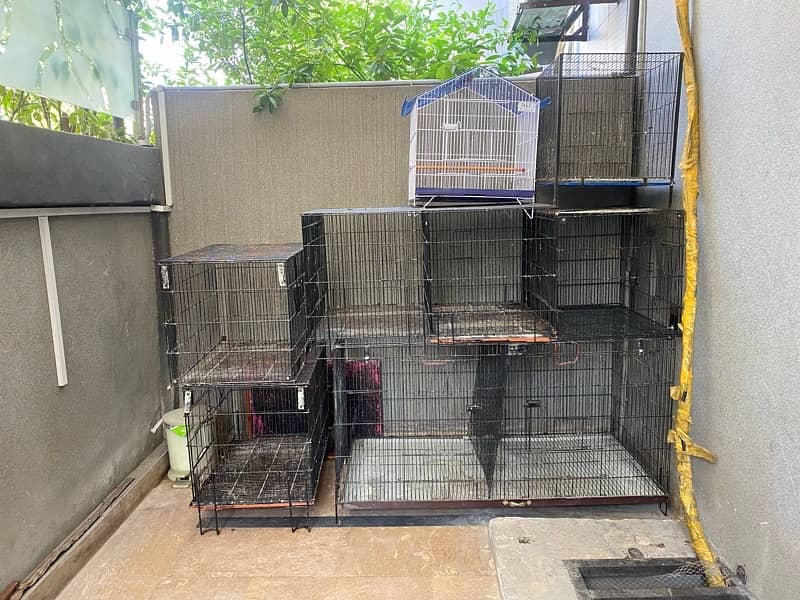 Bird Cages, breeding boxes , Brooder Box 2