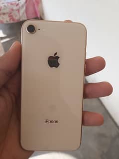 Iphone 8 pta approved