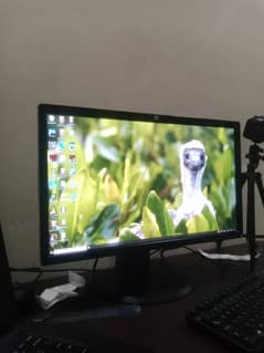 hp 24 inch ips led monitor