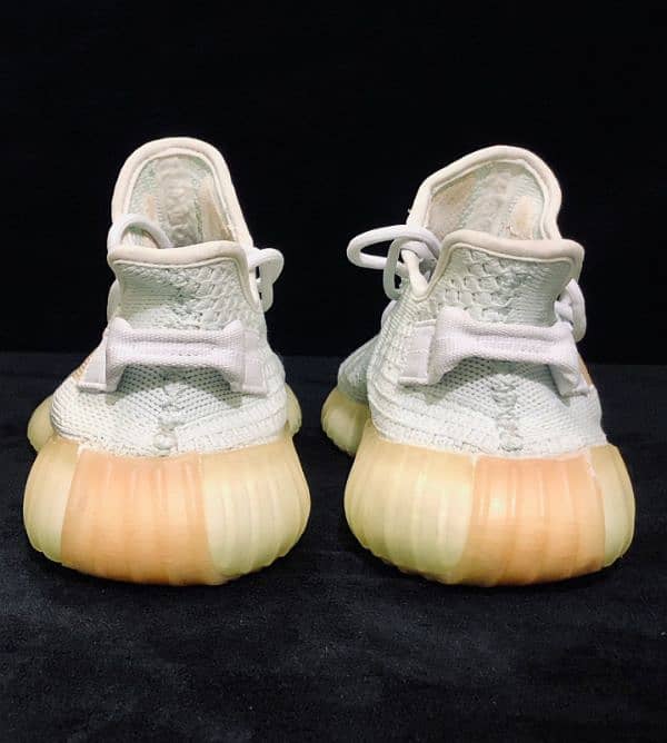 Adidas Yeezy (legitimacy unknown) 5