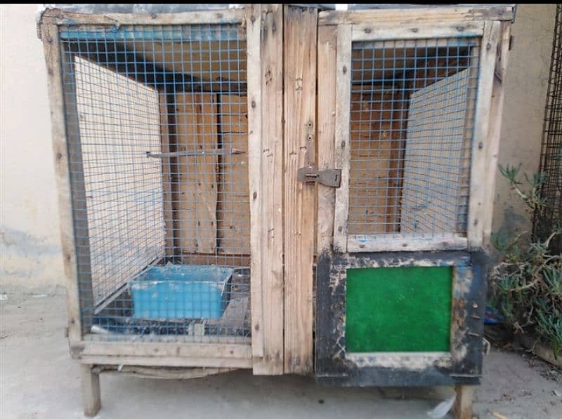 2 cage in good condition 2