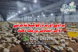 poultry