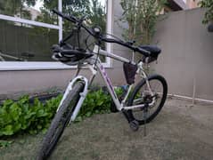 DBS Invasion Mountain Bike