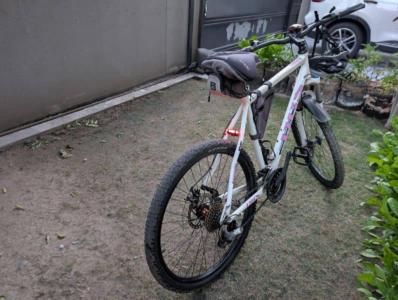 DBS Invasion Mountain Bike 1