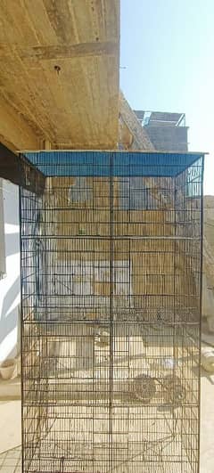 Cage for Parrots & Pigeons