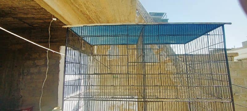 Cage for Parrots & Pigeons 3