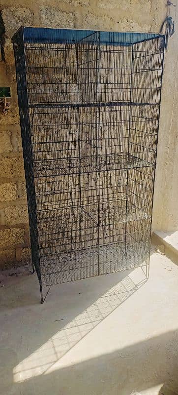 Cage for Parrots & Pigeons 9