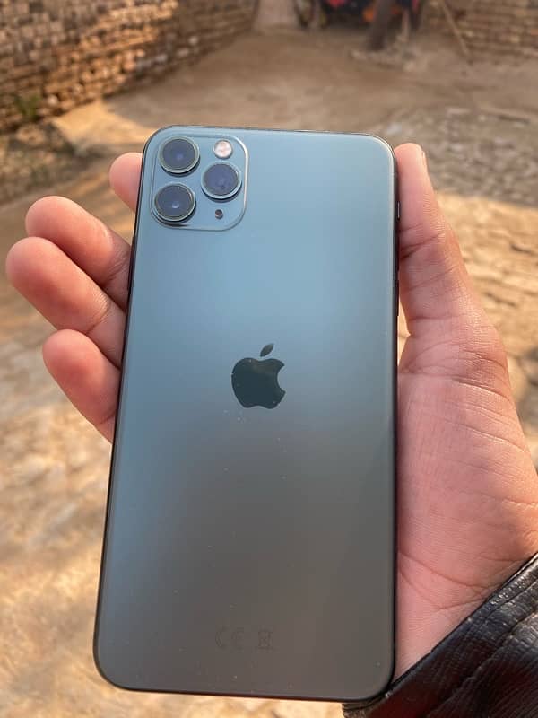 IPhone 11 Pro Max Panel Changed 0