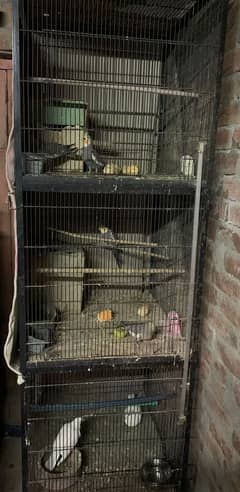 3 portion cage for parrots