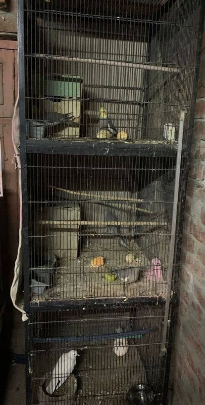 3 portion cage for parrots 2