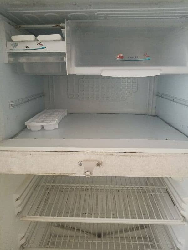 PEL Refrigerator 1