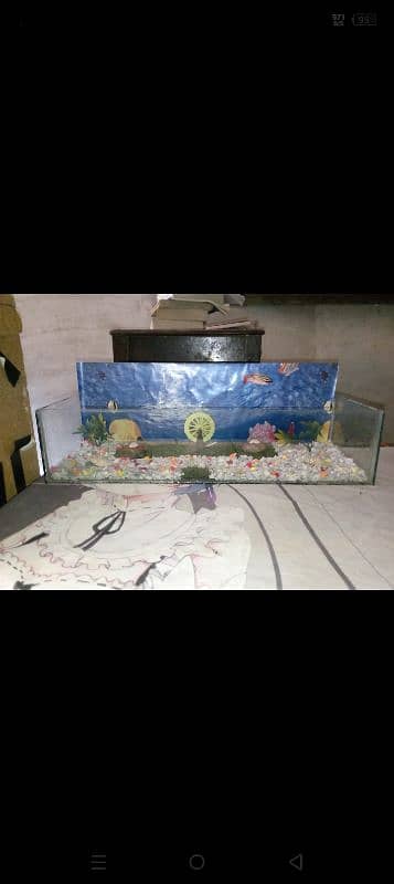 fish aquarium 2.5ft 0