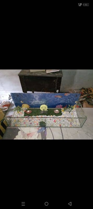 fish aquarium 2.5ft 1