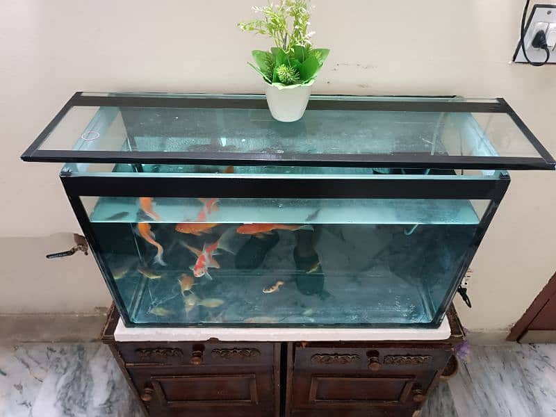 Brand New 3ft Aquarium For Sale 2