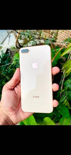 iPhone 8 Plus 64 GB, non PTA