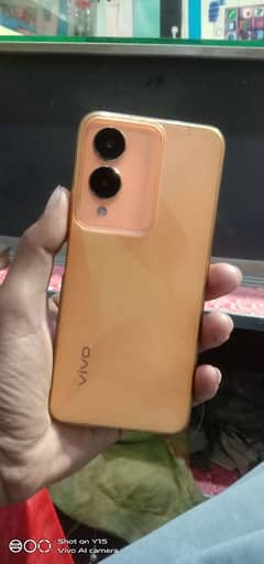 Vivo y17s  6/128