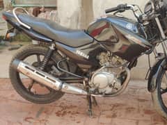 YBR 125cc