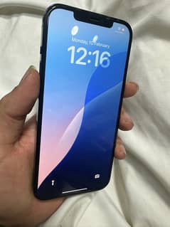 i phone 12 pro max