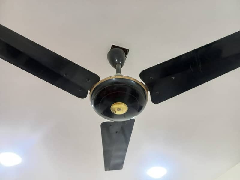 Copper GFC fan for Sale 1