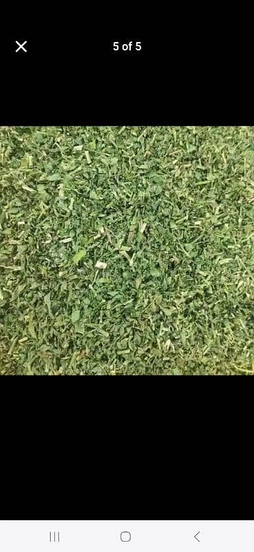 rabbit feed rabbit food  khusk loosan alfalfa hay hi tech 44 1