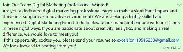 Join Our Team: Digital Marketing Professional Wanted!