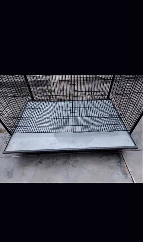 hen cages available 1